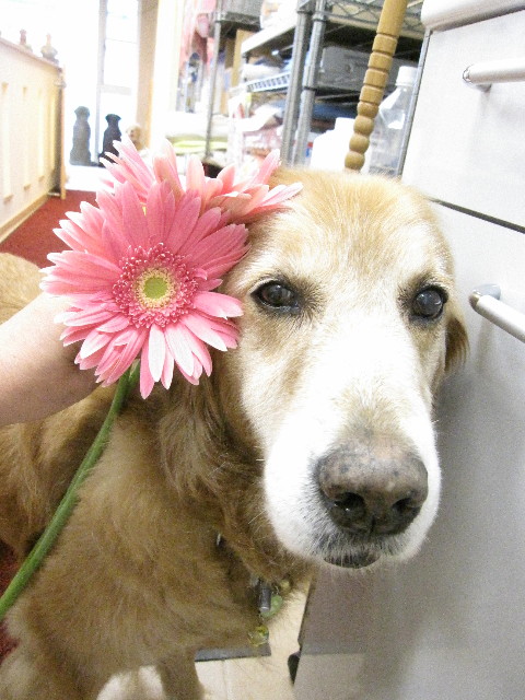 ファイル 1324-4.jpg