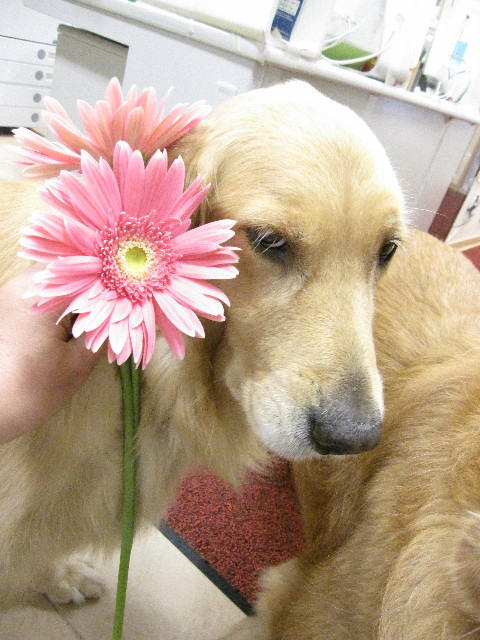 ファイル 1324-5.jpg