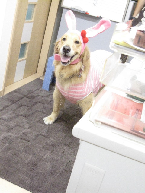 ファイル 1325-1.jpg