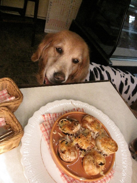 ファイル 1325-2.jpg