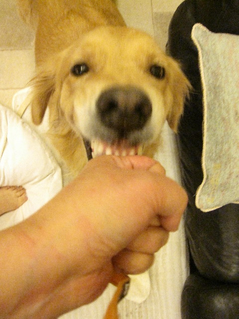 ファイル 1325-4.jpg