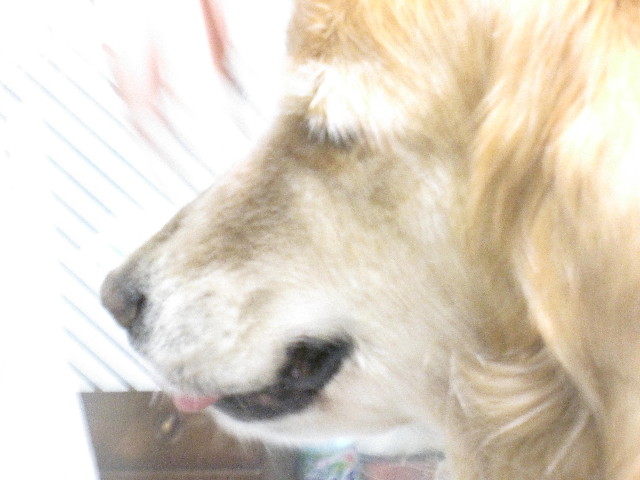 ファイル 1326-2.jpg