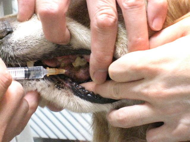 ファイル 1326-3.jpg