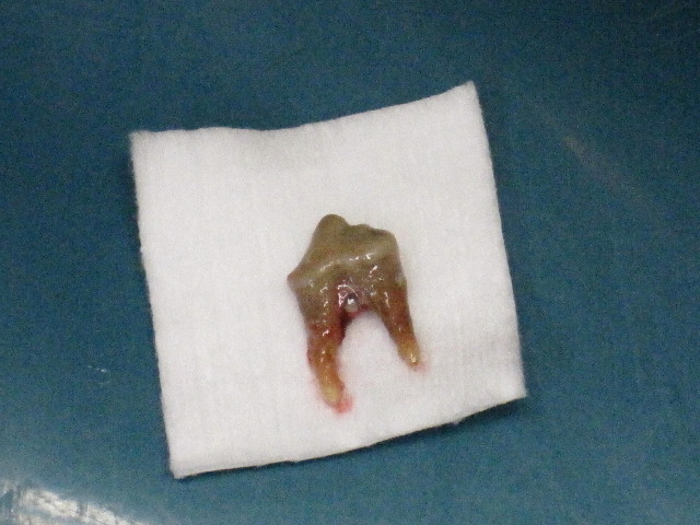 ファイル 1326-5.jpg