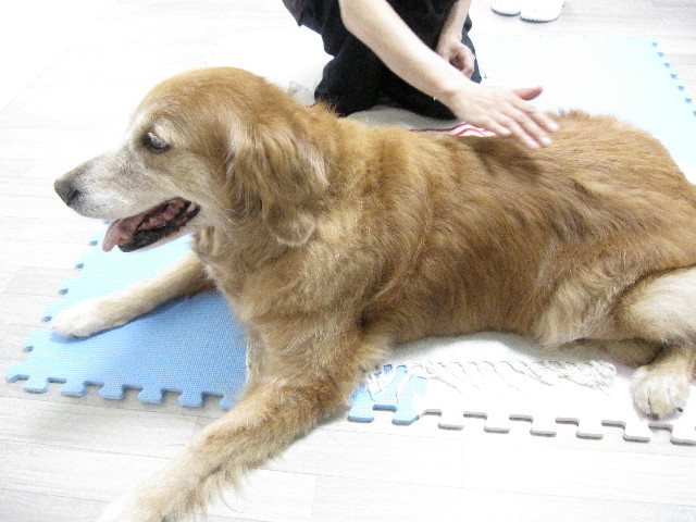 ファイル 1328-1.jpg