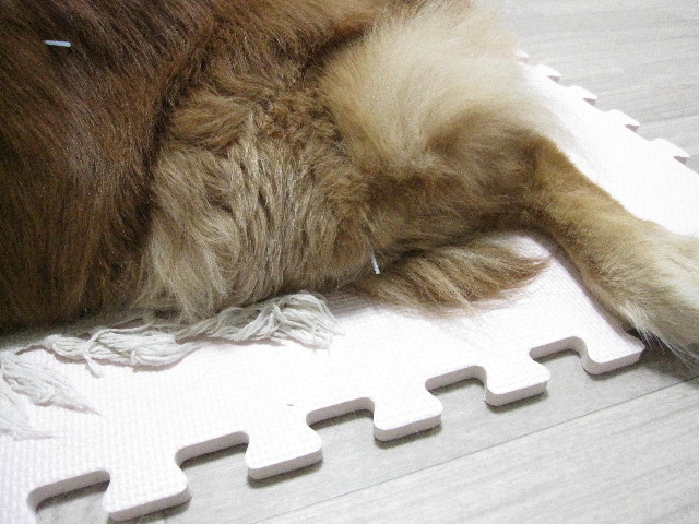 ファイル 1328-3.jpg