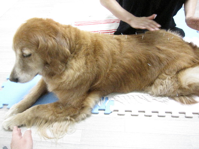 ファイル 1328-4.jpg