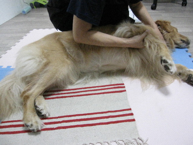 ファイル 1329-2.jpg