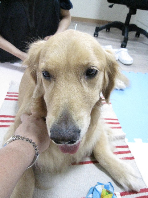 ファイル 1329-3.jpg