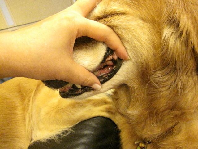 ファイル 1329-5.jpg