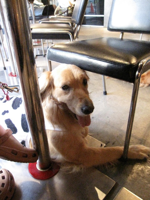 ファイル 1330-2.jpg