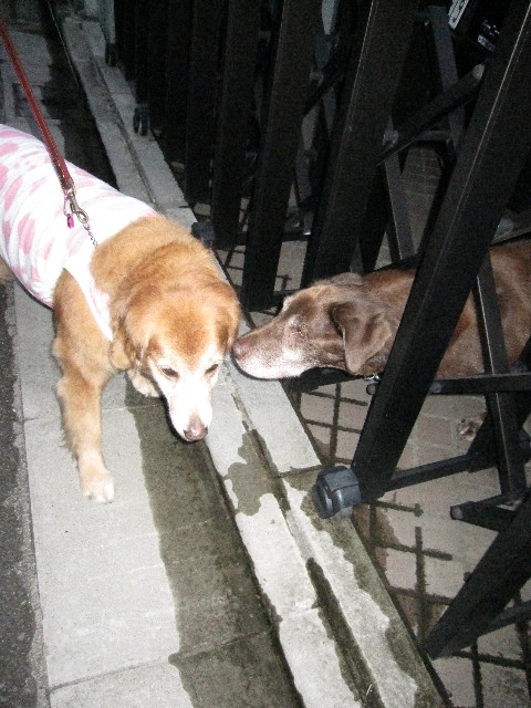 ファイル 1330-3.jpg