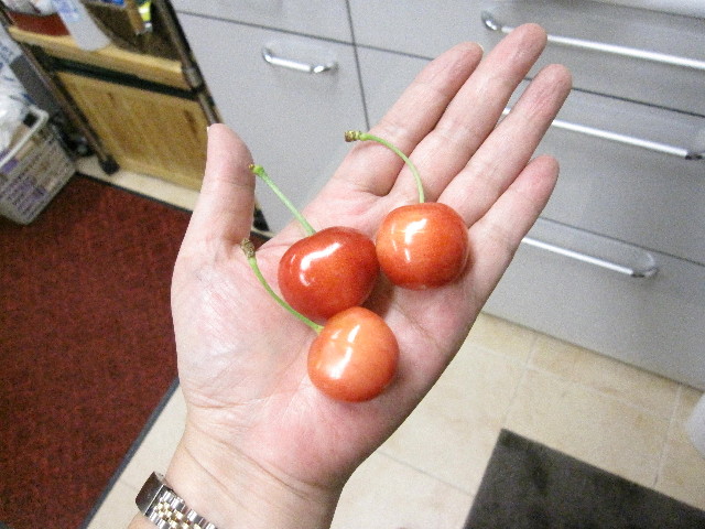 ファイル 1330-4.jpg