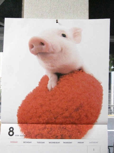 ファイル 1331-1.jpg