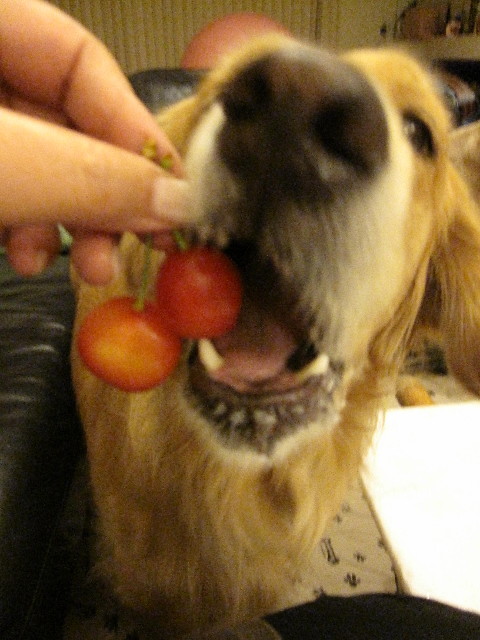 ファイル 1331-5.jpg