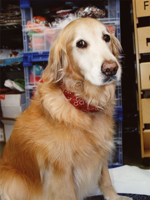 ファイル 1332-3.jpg