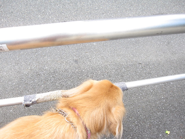 ファイル 1334-3.jpg