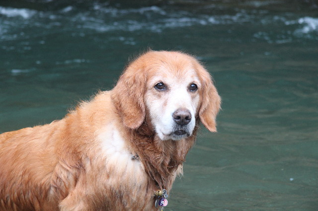 ファイル 1338-4.jpg