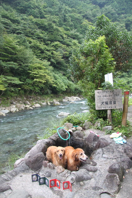 ファイル 1339-3.jpg