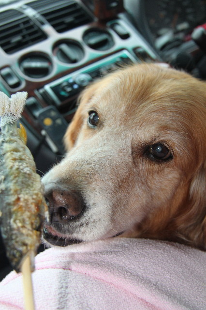 ファイル 1339-5.jpg