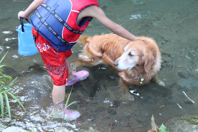 ファイル 1341-3.jpg