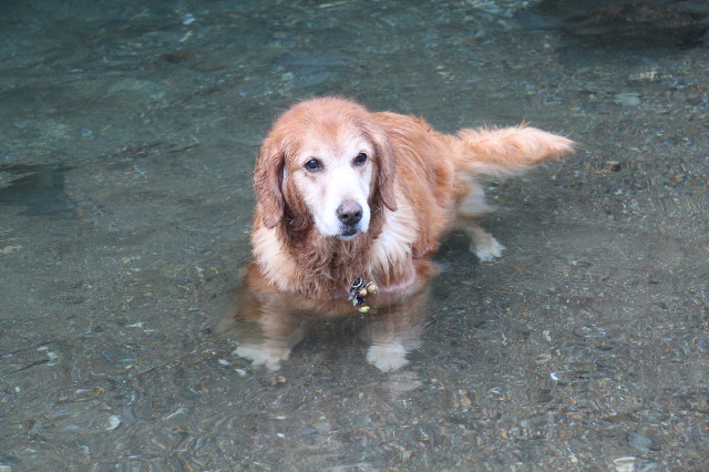 ファイル 1341-4.jpg