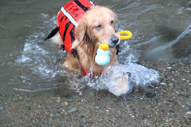 ファイル 1341-5.jpg