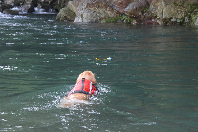 ファイル 1342-2.jpg