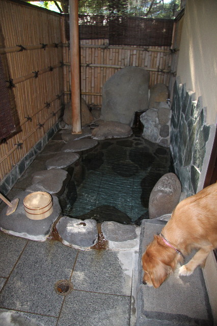 ファイル 1345-4.jpg