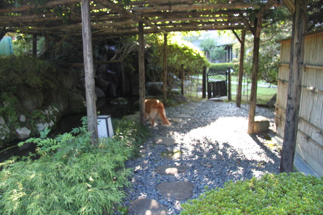 ファイル 1346-4.jpg