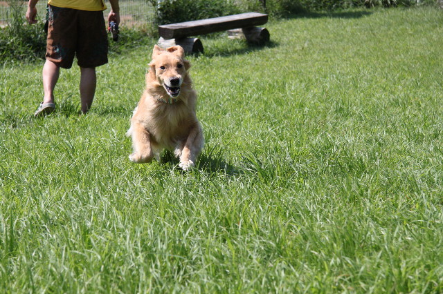 ファイル 1354-3.jpg