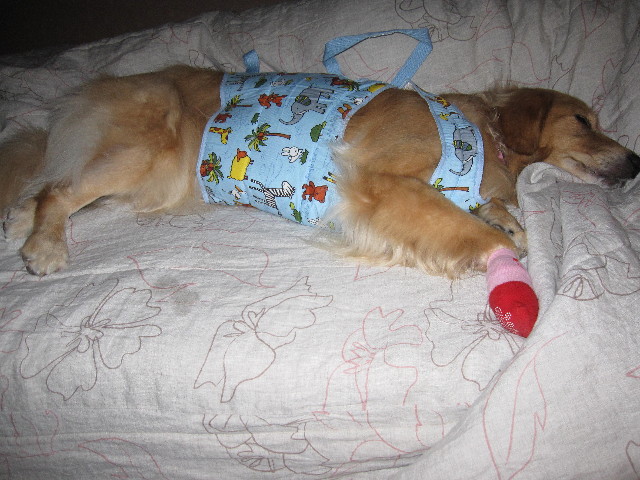 ファイル 1357-3.jpg