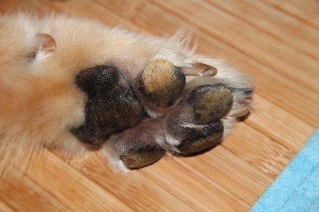 ファイル 1358-2.jpg