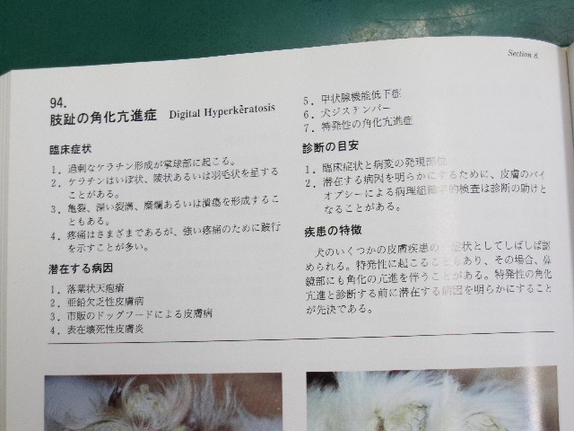 ファイル 1358-4.jpg