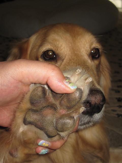 ファイル 1359-1.jpg