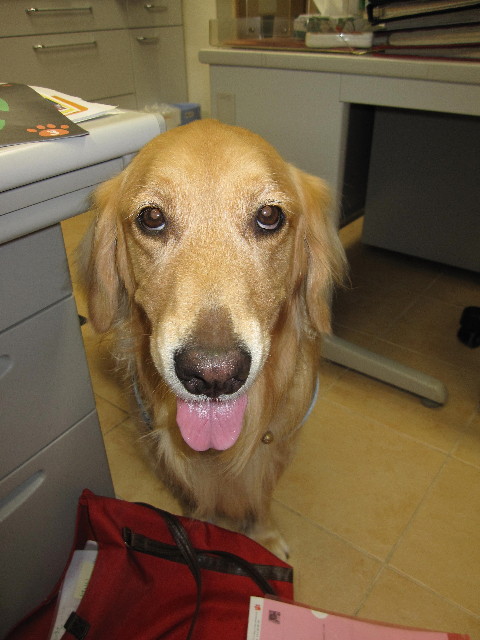 ファイル 1360-1.jpg