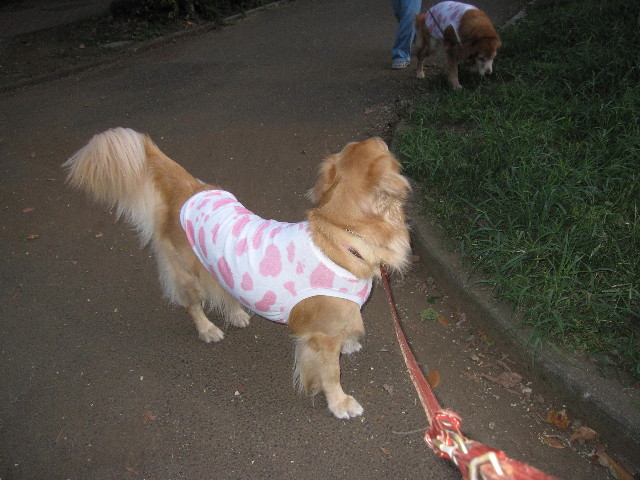 ファイル 1360-3.jpg