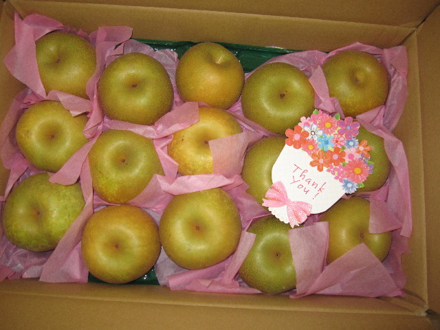 ファイル 1361-1.jpg