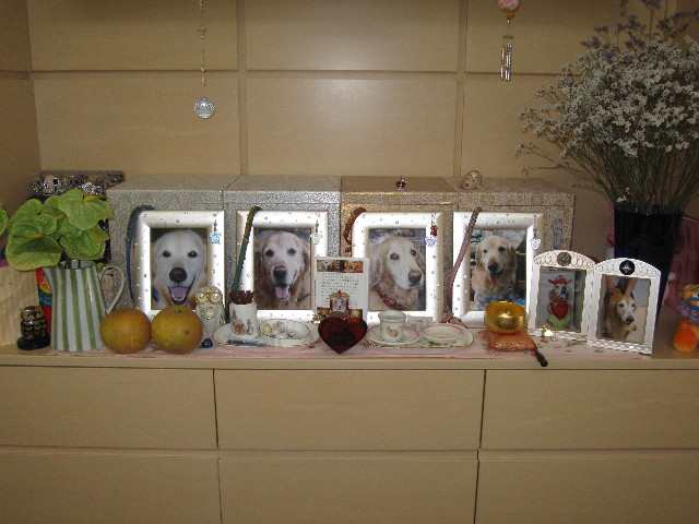 ファイル 1361-2.jpg