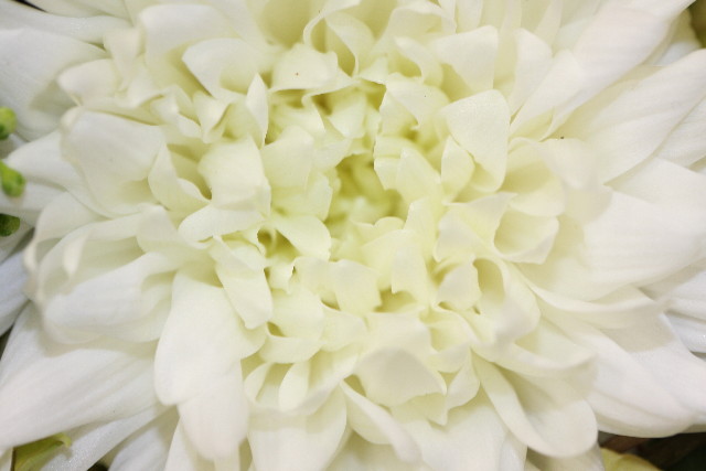 ファイル 1361-3.jpg