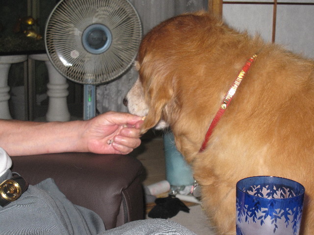 ファイル 1362-1.jpg