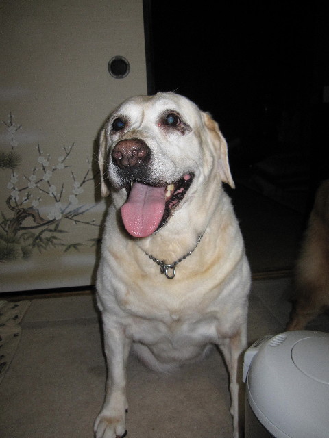 ファイル 1362-2.jpg