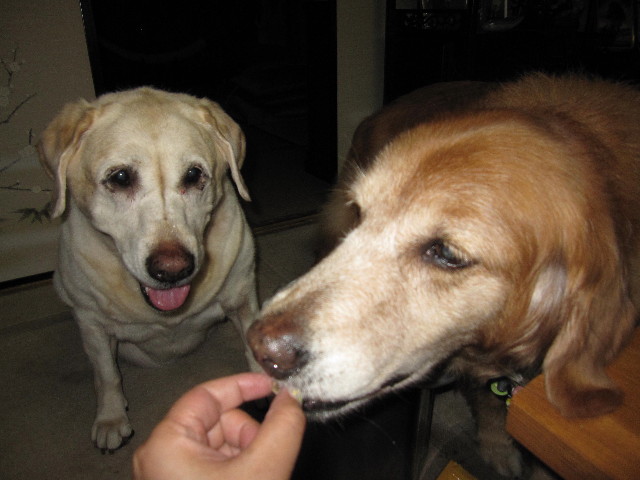 ファイル 1362-3.jpg