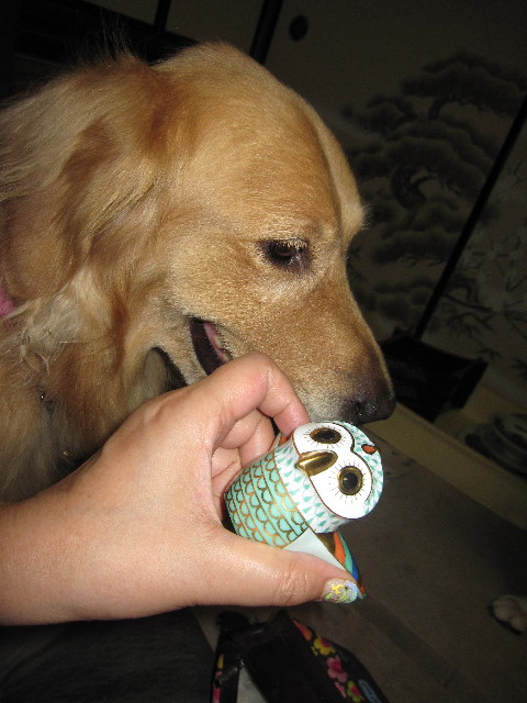 ファイル 1362-4.jpg