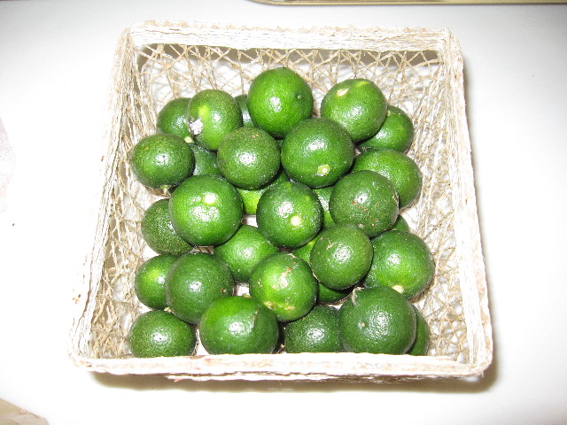 ファイル 1362-5.jpg