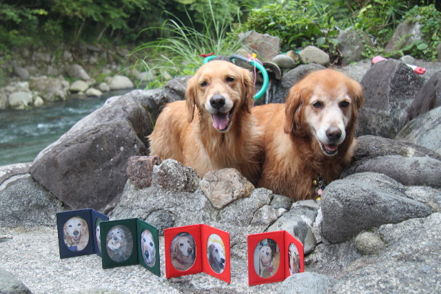 ファイル 1363-2.jpg