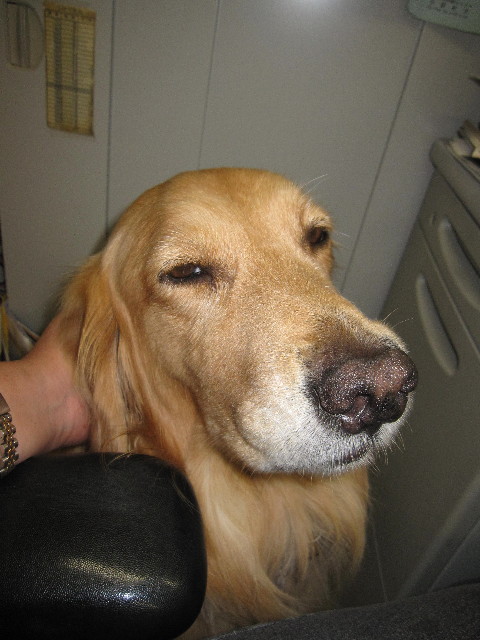 ファイル 1364-4.jpg