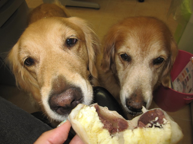 ファイル 1365-2.jpg