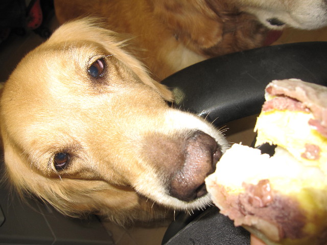 ファイル 1365-3.jpg