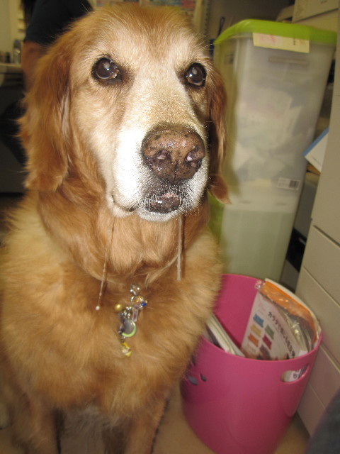 ファイル 1365-4.jpg